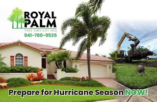 Royal Palm Tree Services