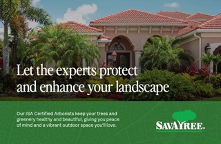 SavATree -