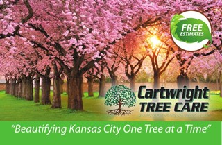 Cartwright Tree Care