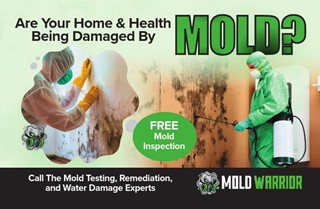 Mold Warrior